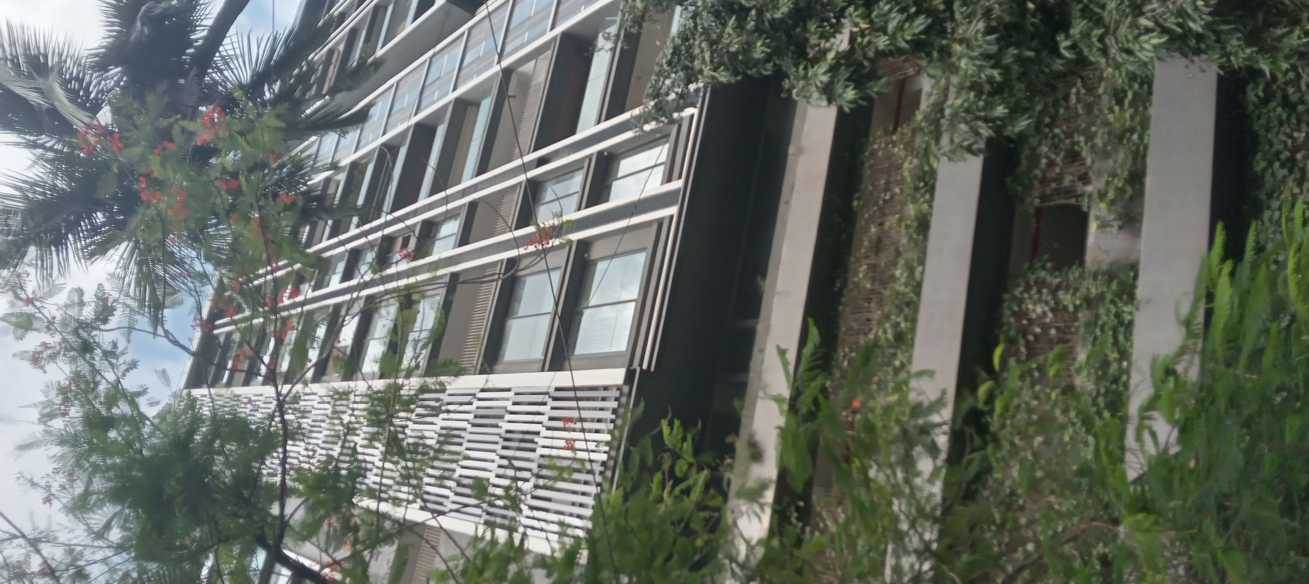 3 BHK + Servant Room Apartment For Rent in Brand Newbuilding