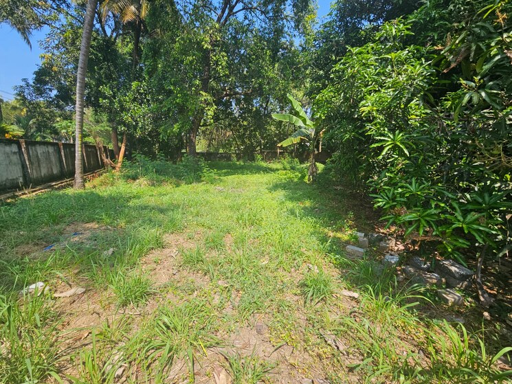 Garden, chembukkav  6534 Sq.Ft. Plot In Chembukkav Thrissur 9283951