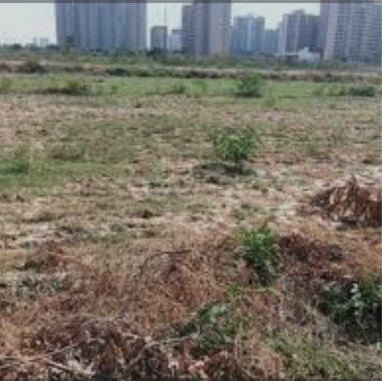 undefined, ramprastha-city-plots  300 Sq.Yd. Plot In Udyog Vihar Phase 6 Gurgaon 9284003