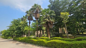  Plot For Sale in TDI South Extension II, Mohali Sector 117