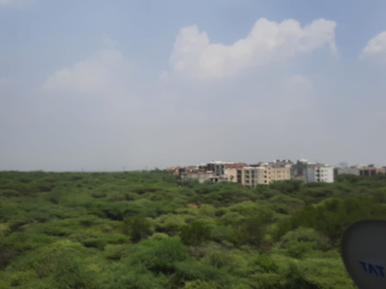 Cover Image, dera mandi 6 Bedroom 1 Acre Villa In Dera Mandi Delhi 9284305