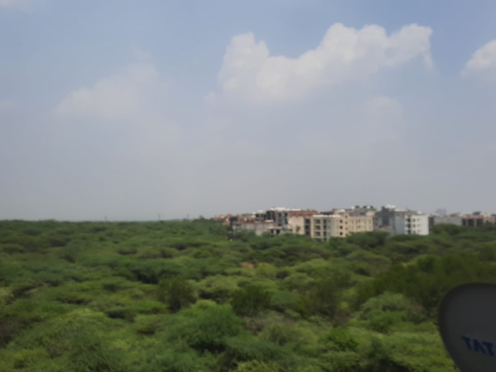 6 BHK + Pooja Room,Servant Room,Study Room Villa For Sale in Chattarpur 
