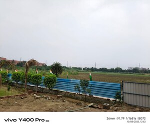  Plot For Sale in Sector 81