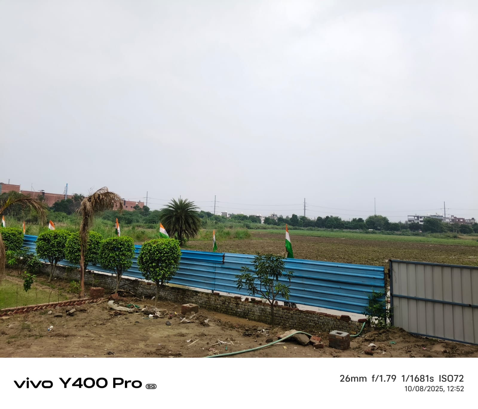 Plot For Sale in Sector 81