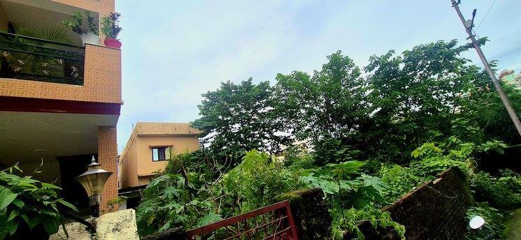 Garden, canal road  258 Sq.Yd. Plot In Canal Road Dehradun 9284506