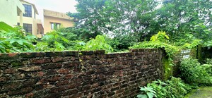 Plot Area in  Plot at Canal Road – for Sale