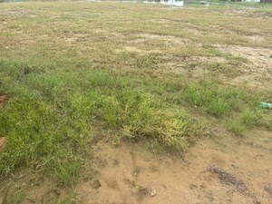  Plot For Sale in Barsana