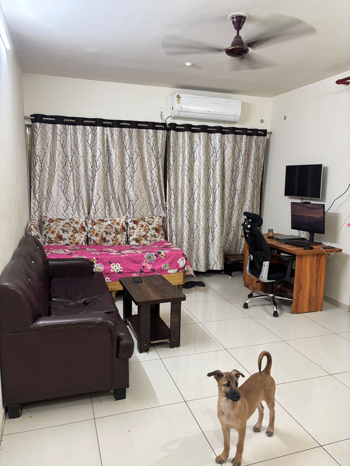 1 BHK + Pooja Room 395 Sq.Ft. Apartment in Paranjape Blue Ridge