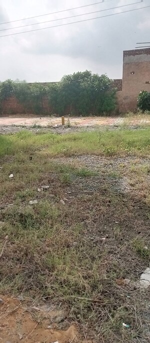 Plot Area in  Land at Sector 22 – for Sale