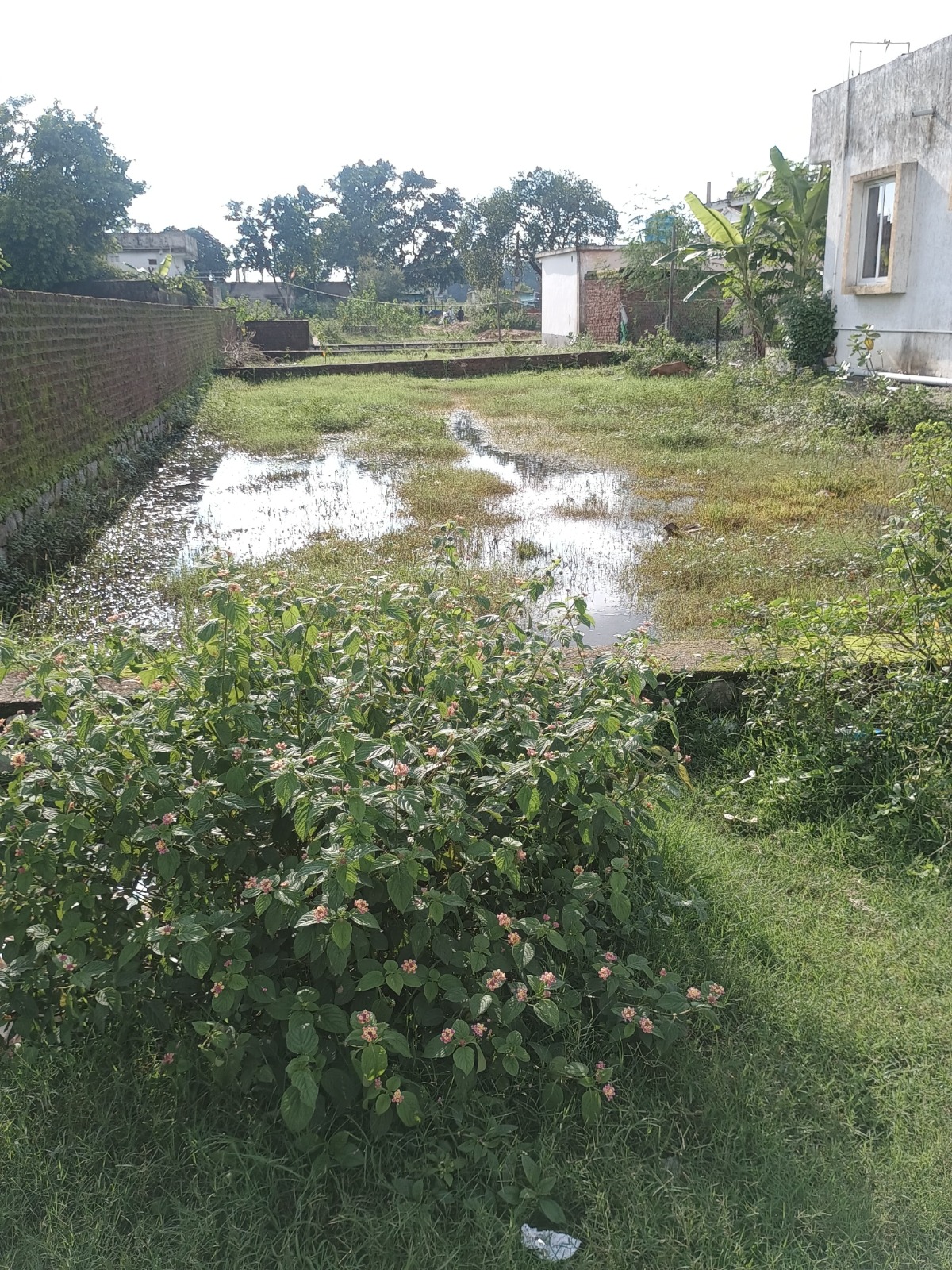 Plot For Sale in Fairsky