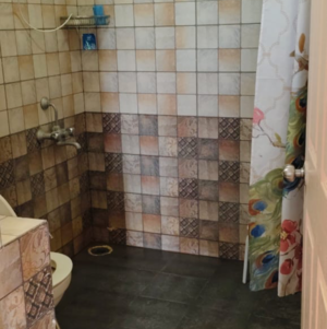 Bathroom in 3 BHK Apartment at GM Infinite E City Town, Bommasandra – for Rent