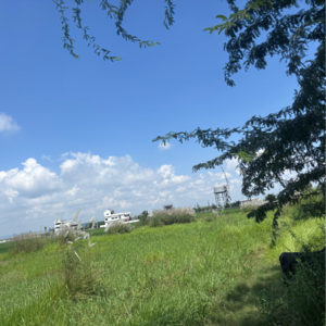 Plot Area in  Land at Guntur – for Sale