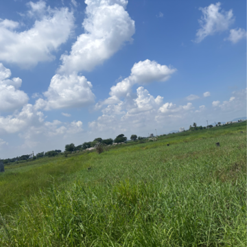  Land – Garden View at Guntur - for Sale