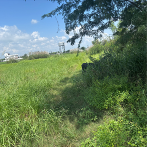 Plot Area in  Land at Guntur – for Sale