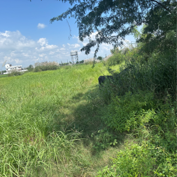 Plot Area in  Land at Guntur – for Sale