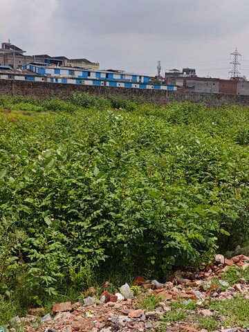  Plot – Exterior View View at Sector 25 - for Sale