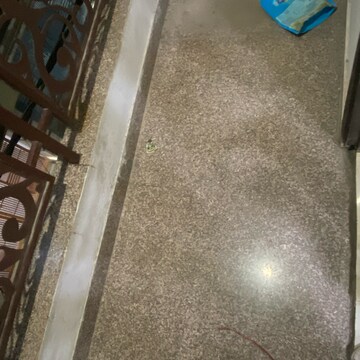 Balcony in 2 BHK Builder Floor at Chattarpur – for Rent