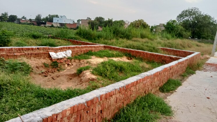 undefined, dadri  80 Sq.Yd. Plot In Dadri Greater Noida 9285897