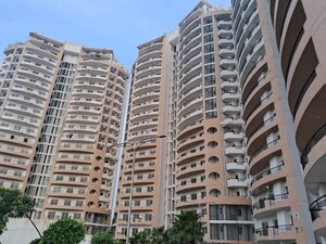 3 BHK Builder Floor For Rent in Ansal Crown Heights, Sector 80