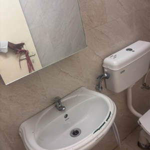 Bathroom in 2 BHK Apartment at Signature The Millennia 2, Garoli Kalan – for Rent