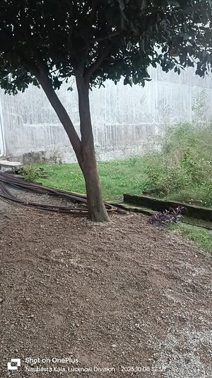 Plot Area in  Plot at Matiyari – for Sale