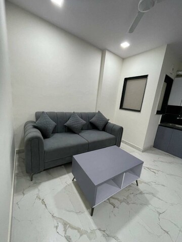 Living Room in 1 BHK Apartment at Freedom Fighters Enclave – for Rent