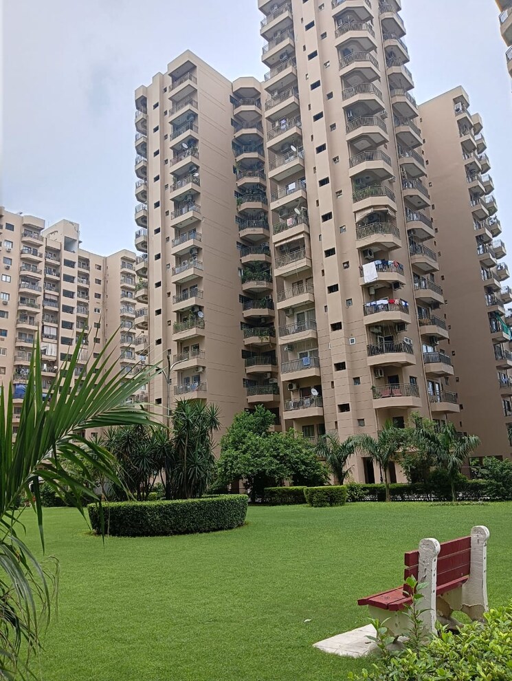 Exterior View, ardee-city-palm-grove-heights 3 Bedroom 2039 Sq.Ft. Apartment In Sector 52 Gurgaon 9286985