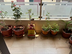 Living Room in 2 BHK Builder Floor at Madhapur – for Rent