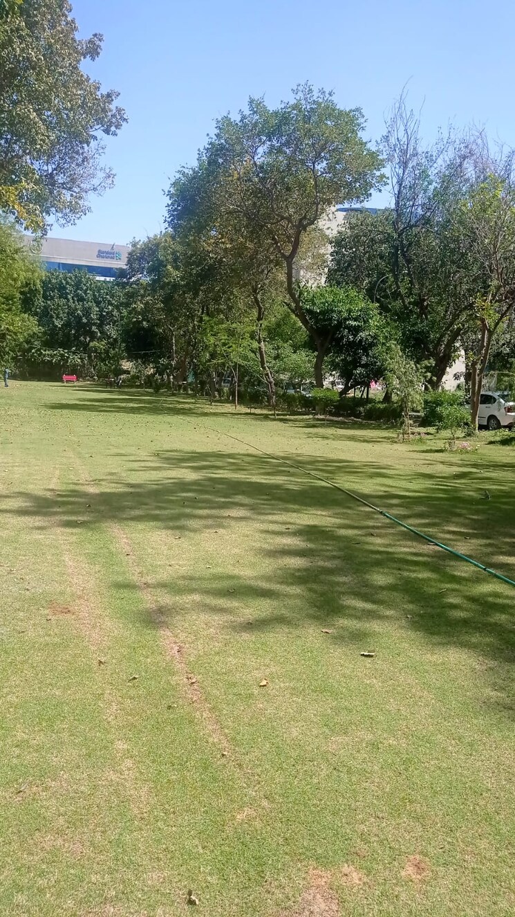 Garden, dlf-cyber-city 1 Bedroom 450 Sq.Ft. Apartment In Sector 24 Gurgaon 9287164