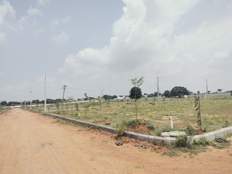 Resale 151 Sq.Yd. Plot in Shadnagar Hyderabad - 9287186