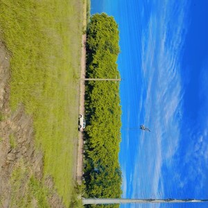   Plot at India Expo Mart, Knowledge Park Ii Greater Noida – for Sale