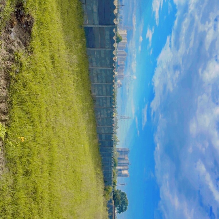 Other, ipan-suraksha-enclave  150 Sq.Yd. Plot In Dankaur Greater Noida 9287284