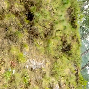  Plot – Garden View at Aknova Scorf, Dehradun Cantt - for Sale