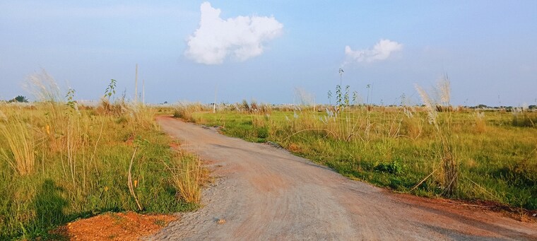 undefined, patrapada  1200 Sq.Ft. Plot In Patrapada Bhubaneswar 9287294