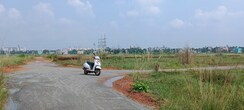 Plot For Sale in Patrapada