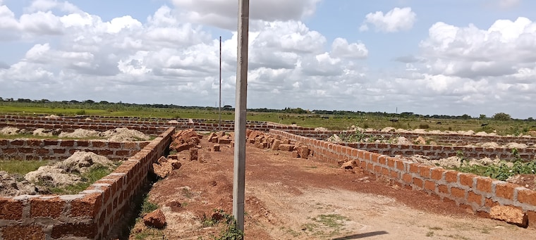 undefined, patrapada  1200 Sq.Yd. Plot In Patrapada Bhubaneswar 9287312