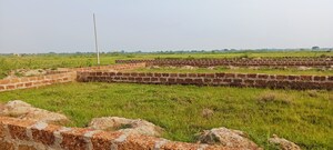 Plot Area in  Plot at Patrapada – for Sale