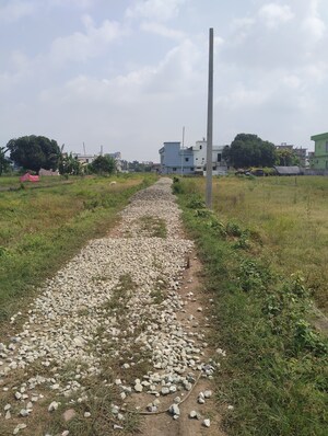  Plot For Sale in Kusumkhera