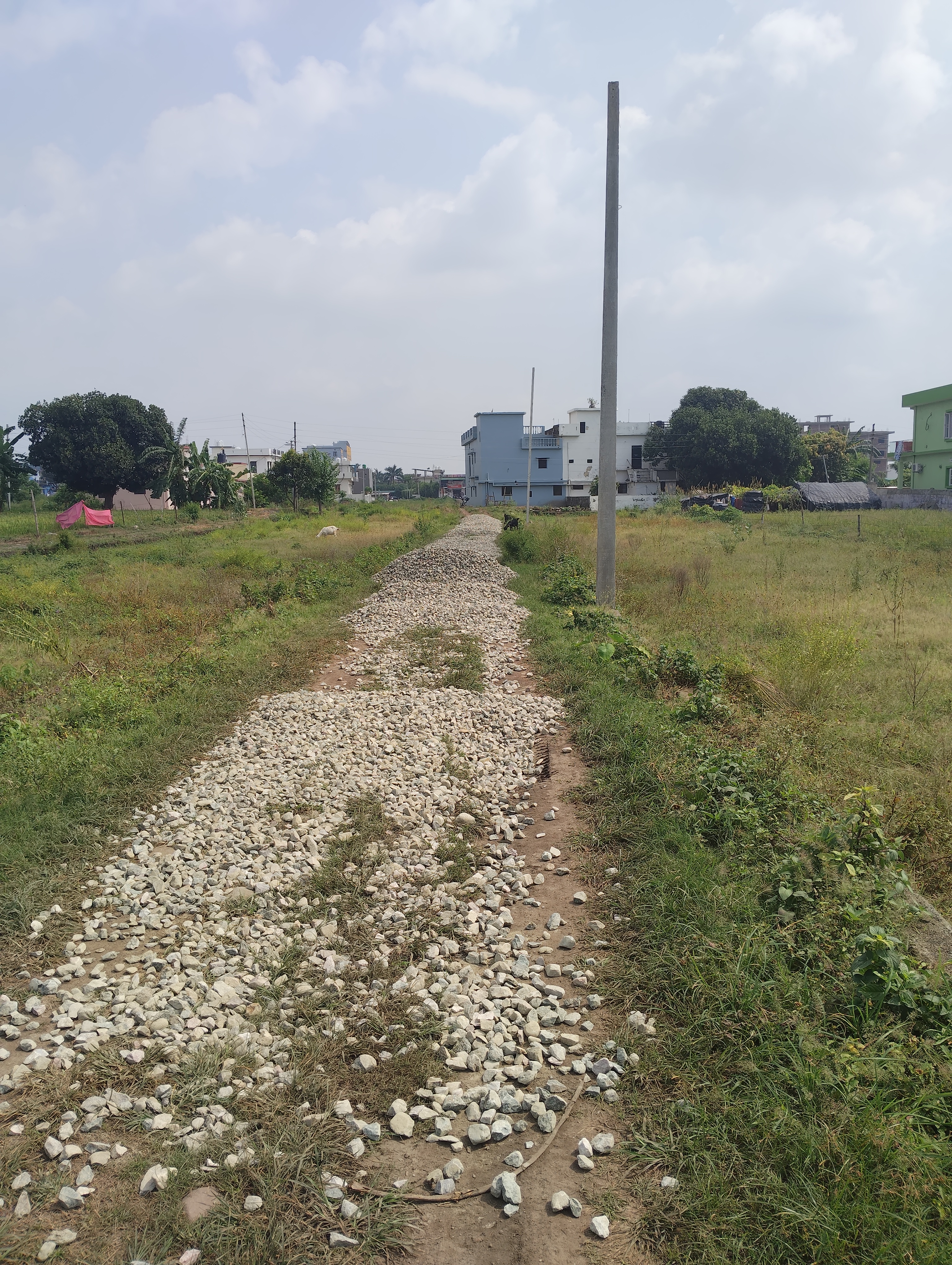 Plot For Sale in Kusumkhera