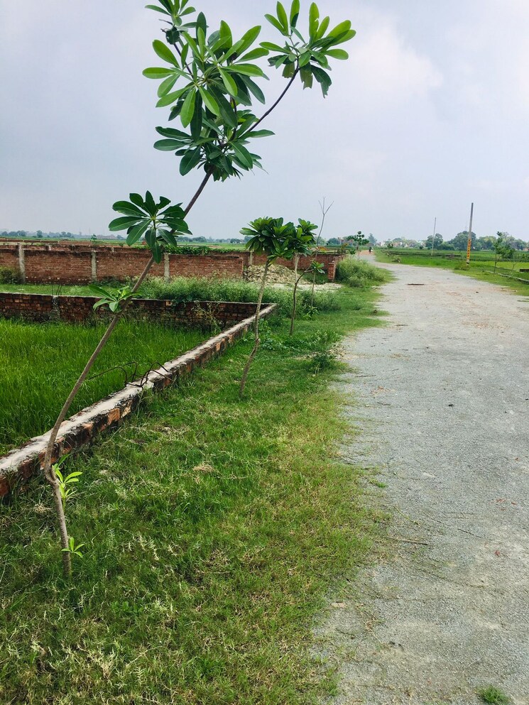 Nearby, ramnagar  1400 Sq.Ft. Plot In Ramnagar Varanasi 9287484