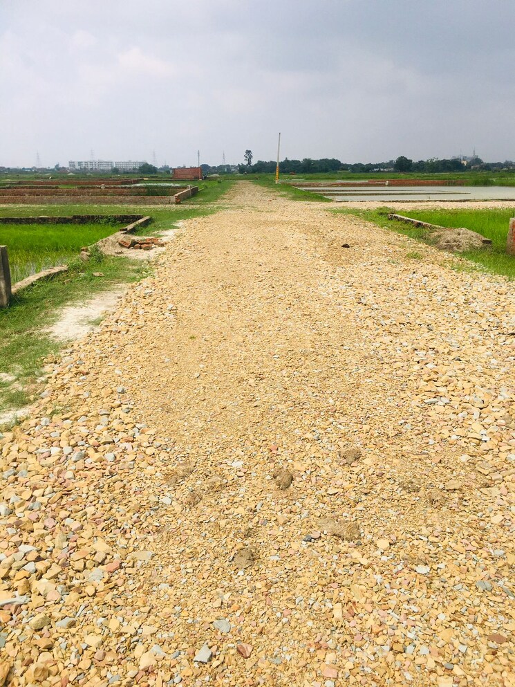 undefined, ramnagar  1400 Sq.Ft. Plot In Ramnagar Varanasi 9287484