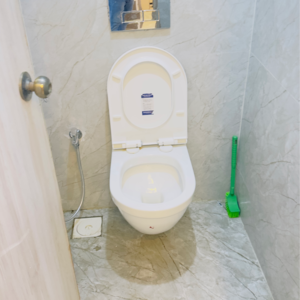 Bathroom in 1 BHK Apartment at Shraddha Evoque, Sonapur – for Rent