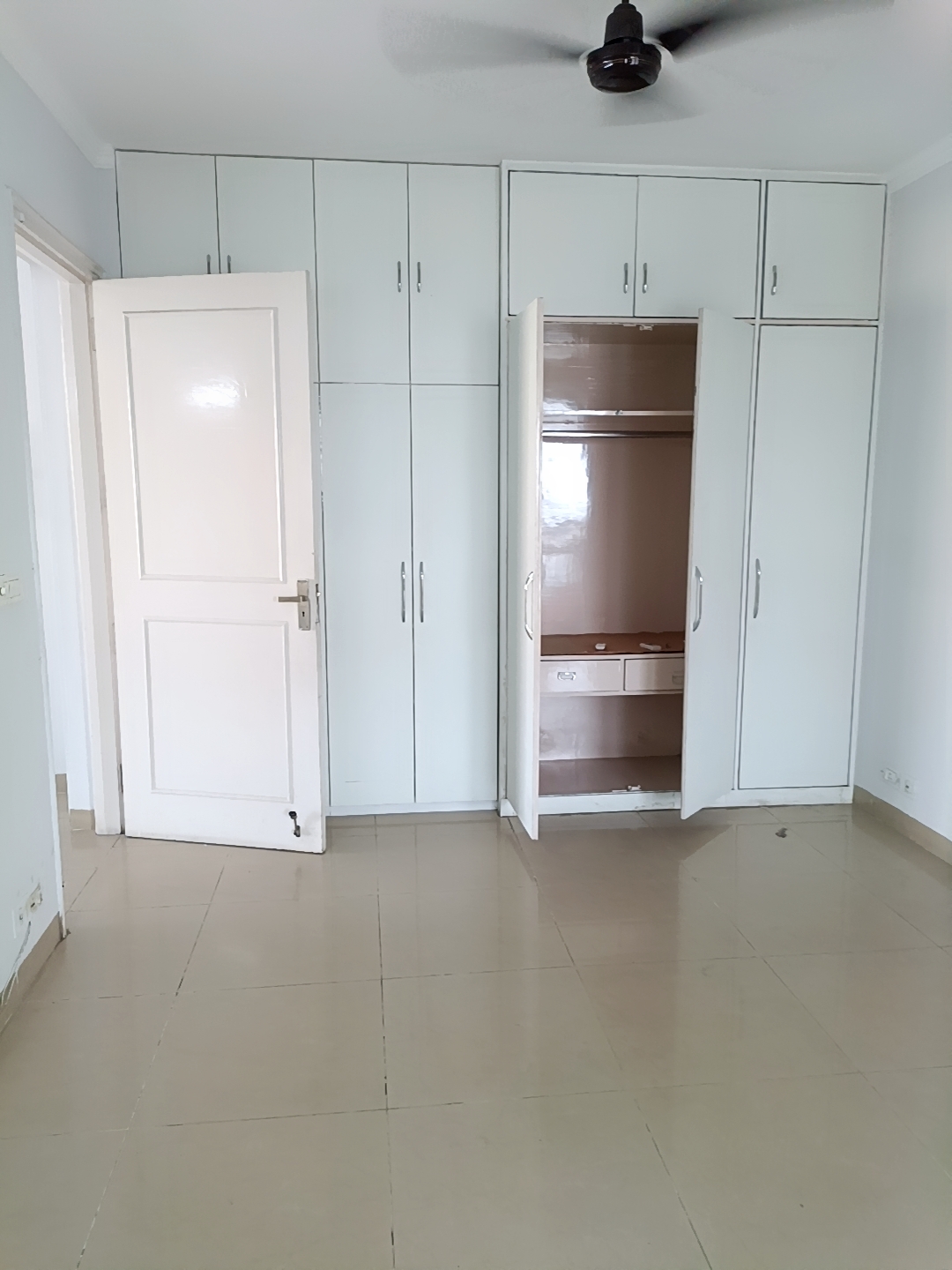 3 BHK Apartment For Rent in Tulip Violet