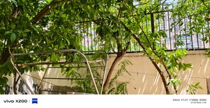 Balcony in 3 BHK Builder Floor at Unitech Woodstock Floors, Sector 50 – for Rent