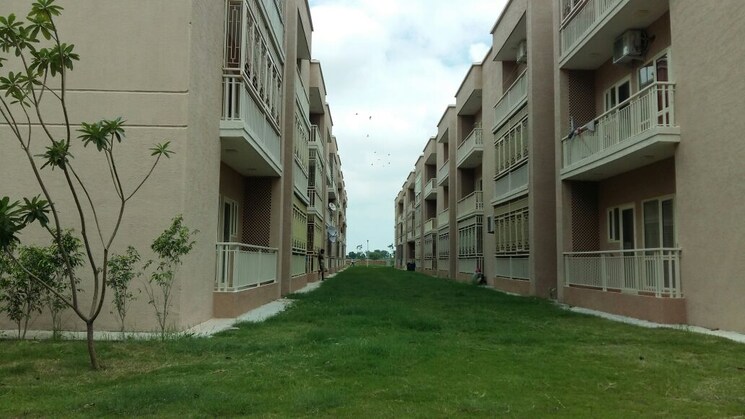 Exterior View, chhatikara 1 RK 535 Sq.Ft. Apartment In Chhatikara Vrindavan 9287702