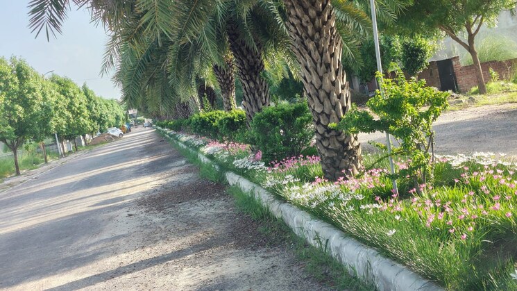 Garden, wing-lucknow-greens-plots  1500 Sq.Ft. Plot In Sultanpur Road Lucknow 9287918