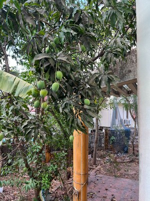 4 BHK Villa – Garden View at Sangolda - for Rent