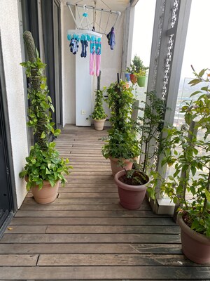 Balcony in 2.5 BHK Apartment at Lodha New Cuffe Parade, Wadala – for Rent