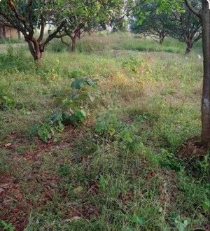  Land For Rent in Thane West