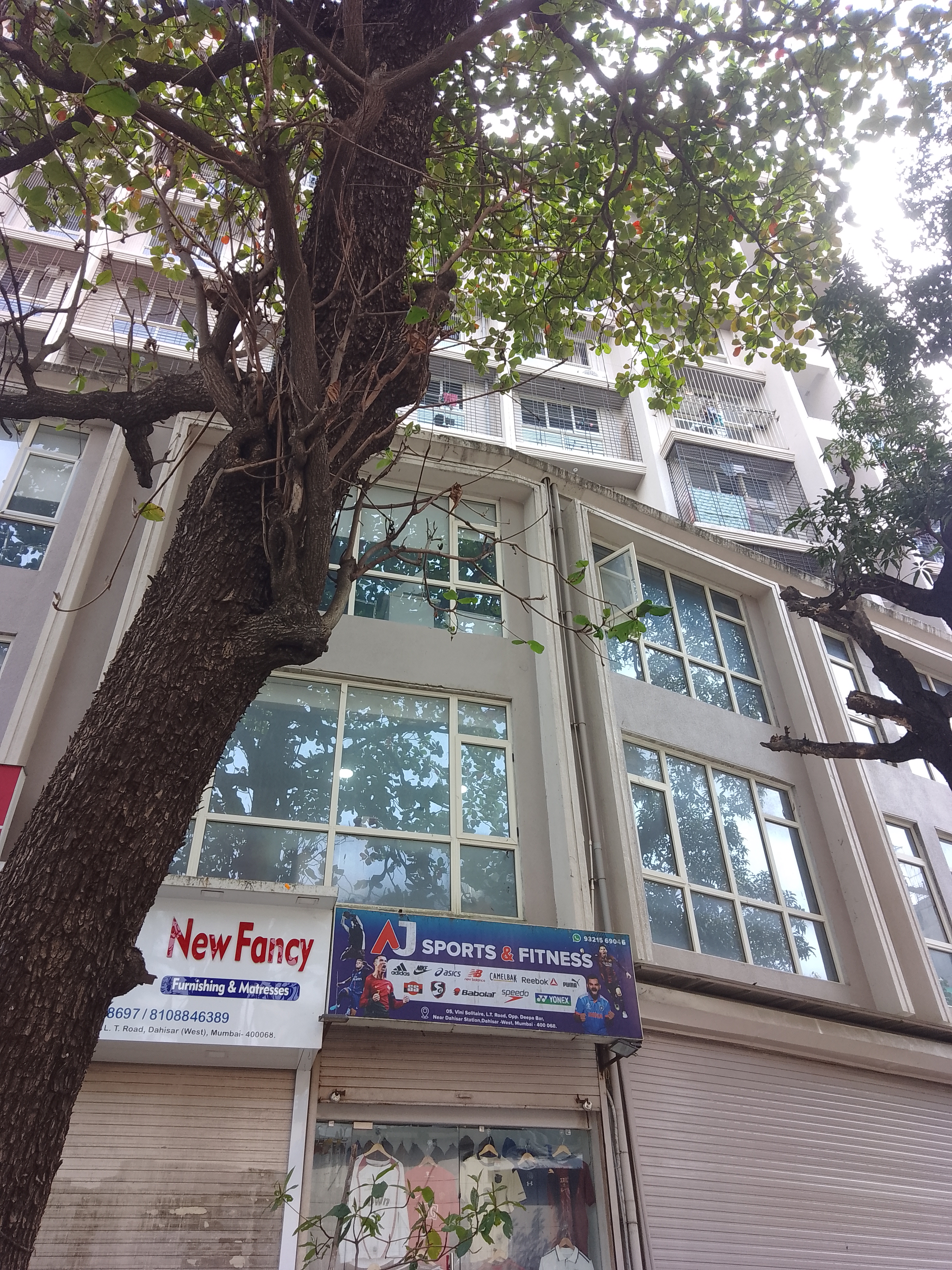 1 BHK Apartment For Rent in Ami Vini Solitaire